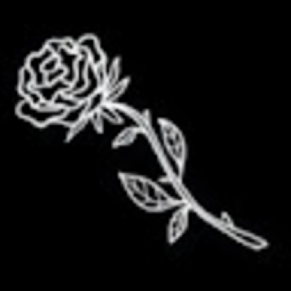 Meet your Posher, Shadow_playz